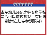 崇左幼儿师范高等专科学校是否可以进校参观，有何限制(崇左幼专参观限制)