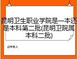 昆明卫生职业学院是一本还是本科第二批(昆明卫院属本科二批)