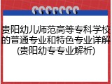 贵阳幼儿师范高等专科学校的普通专业和特色专业详解(贵阳幼专专业解析)