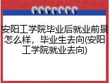 安阳工学院毕业后就业前景怎么样,毕业生去向(安阳工学院就业去向)