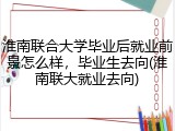 淮南联合大学毕业后就业前景怎么样，毕业生去向(淮南联大就业去向)