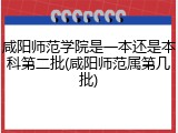 咸阳师范学院是一本还是本科第二批(咸阳师范属第几批)