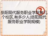 岳阳现代服务职业学院有几个校区,有多少人(岳阳现代服务职业学院规模)