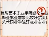 昆明艺术职业学院哪个专业毕业就业前景比较好(昆明艺术职业学院好就业专业)