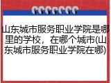 山东城市服务职业学院是哪里的学校，在哪个城市(山东城市服务职业学院在哪)