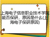 上海电子信息职业技术学院能否保研，原因是什么(上海电子保研原因)