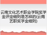 云南文化艺术职业学院奖学金评定细则是怎样的(云南艺职奖学金细则)
