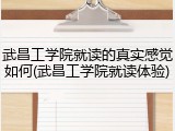武昌工学院就读的真实感觉如何(武昌工学院就读体验)