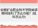 安徽矿业职业技术学院就读期间挂科了怎么办呢？(挂科怎么办)