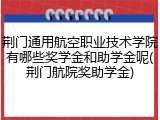 荆门通用航空职业技术学院有哪些奖学金和助学金呢(荆门航院奖助学金)
