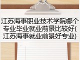 江苏海事职业技术学院哪个专业毕业就业前景比较好(江苏海事就业前景好专业)