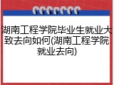 湖南工程学院毕业生就业大致去向如何(湖南工程学院就业去向)