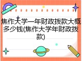 焦作大学一年财政拨款大概多少钱(焦作大学年财政拨款)