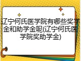 辽宁何氏医学院有哪些奖学金和助学金呢(辽宁何氏医学院奖助学金)