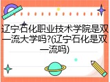 辽宁石化职业技术学院是双一流大学吗?(辽宁石化是双一流吗)