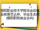 揭阳职业技术学院毕业后就业前景怎么样,毕业生去向(揭阳职院就业去向)