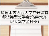 乌鲁木齐职业大学共开设有哪些类型奖学金(乌鲁木齐职大奖学金种类)