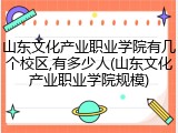 山东文化产业职业学院有几个校区,有多少人(山东文化产业职业学院规模)