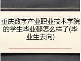 重庆数字产业职业技术学院的学生毕业都怎么样了(毕业生去向)