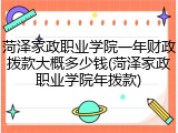 菏泽家政职业学院一年财政拨款大概多少钱(菏泽家政职业学院年拨款)