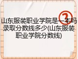 山东服装职业学院是一本吗录取分数线多少(山东服装职业学院分数线)