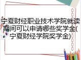 宁夏财经职业技术学院就读期间可以申请哪些奖学金(宁夏财经学院奖学金)