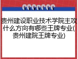 贵州建设职业技术学院主攻什么方向有哪些王牌专业(贵州建院王牌专业)