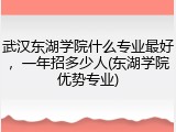 武汉东湖学院什么专业最好，一年招多少人(东湖学院优势专业)