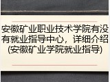 安徽矿业职业技术学院有没有就业指导中心，详细介绍(安徽矿业学院就业指导)