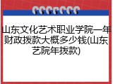 山东文化艺术职业学院一年财政拨款大概多少钱(山东艺院年拨款)