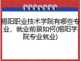 揭阳职业技术学院有哪些专业,就业前景如何(揭阳学院专业就业)