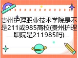贵州护理职业技术学院是不是211或985高校(贵州护理职院是211985吗)