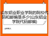 山东铝业职业学院的院校代码和邮编是多少(山东铝业学院代码邮编)