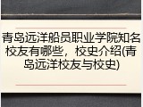 青岛远洋船员职业学院知名校友有哪些，校史介绍(青岛远洋校友与校史)