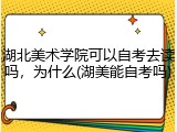 湖北美术学院可以自考去读吗，为什么(湖美能自考吗)