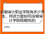 安徽审计职业学院有多少学生，师资力量如何(安徽审计学院规模师资)