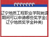 辽宁地质工程职业学院就读期间可以申请哪些奖学金(辽宁地质奖学金种类)