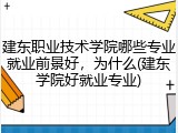 建东职业技术学院哪些专业就业前景好，为什么(建东学院好就业专业)