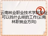 云南林业职业技术学院毕业可以找什么样的工作(云南林职就业方向)