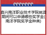 嘉兴南洋职业技术学院就读期间可以申请哪些奖学金(南洋学院奖学金种类)