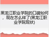 黑龙江职业学院的口碑如何，现在怎么样了(黑龙江职业学院现状)