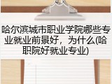哈尔滨城市职业学院哪些专业就业前景好，为什么(哈职院好就业专业)