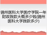 锦州医科大学医疗学院一年财政拨款大概多少钱(锦州医科大学拨款多少)