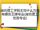 潍坊理工学院主攻什么方向有哪些王牌专业(潍坊理工优势专业)