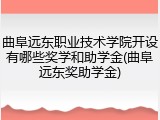 曲阜远东职业技术学院开设有哪些奖学和助学金(曲阜远东奖助学金)