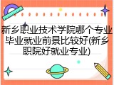 新乡职业技术学院哪个专业毕业就业前景比较好(新乡职院好就业专业)