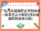 广东茂名健康职业学院宿舍一般是怎么分配的(茂名健康职院宿舍分配)