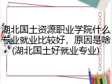 湖北国土资源职业学院什么专业就业比较好，原因是啥(湖北国土好就业专业)