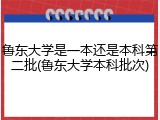 鲁东大学是一本还是本科第二批(鲁东大学本科批次)