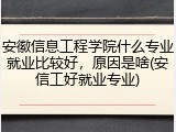 安徽信息工程学院什么专业就业比较好，原因是啥(安信工好就业专业)